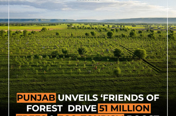 Punjab Unveils ‘Friends of Forest’ Drive: 51 Million Trees & Eco-Tourism Boost