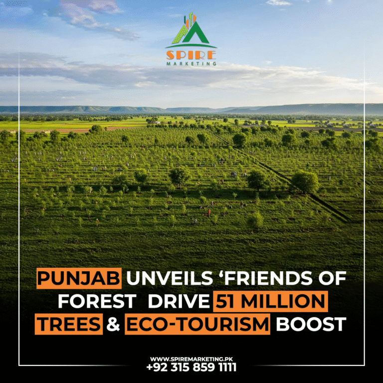 Punjab Unveils ‘Friends of Forest’ Drive: 51 Million Trees & Eco-Tourism Boost